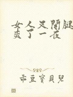 女人叉开腿让我爽了一夜封面