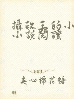 摄政王的小闲妻小说阅读