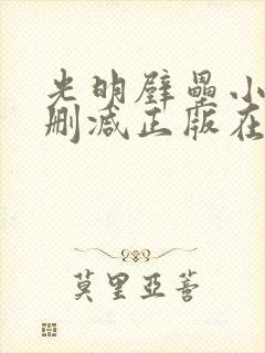 光明壁垒小说无删减正版在线阅读