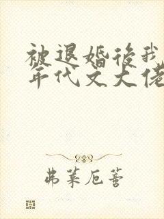 被退婚后我嫁给年代文大佬封面