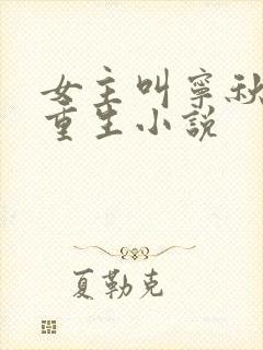 女主叫宁秋棠的重生小说