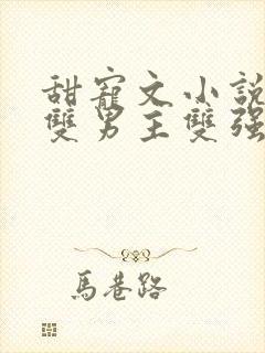 甜宠文小说推荐双男主双强