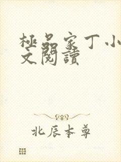 极品家丁小说全文阅读