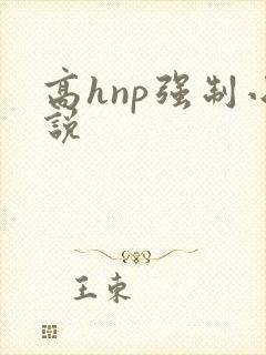 高hnp强制小说