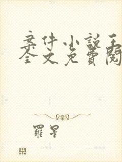 案件小说王善雨全文免费阅读