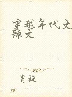 穿越年代文h肉辣文