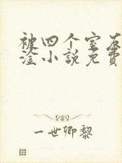 被四个室友轮流淦小说免费阅读封面