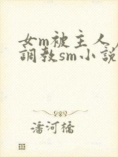 女m被主人虐玩调教sm小说封面