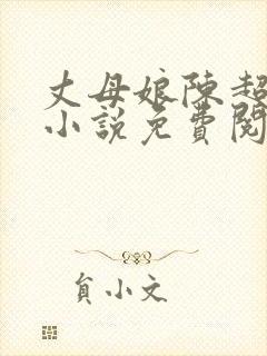 丈母娘陈超赵悦小说免费阅读