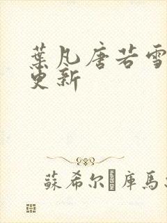 叶凡唐若雪王婿更新