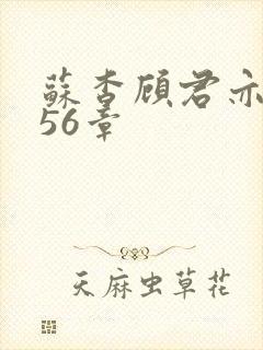 苏杳顾君亦小说56章