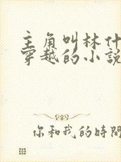 主角叫林什么的穿越的小说