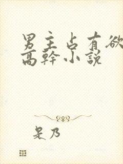 男主占有欲强的高干小说