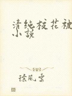 清纯校花被后入小说