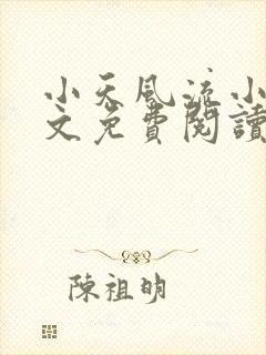 小天风流小说全文免费阅读无弹窗