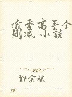 偷香高手全文无删减 小说