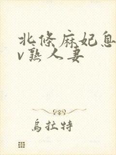 北条麻妃息子av熟人妻