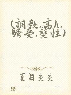 (调教,高h,骚受,双性)