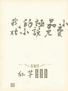 我的极品小姨txt小说免费下载