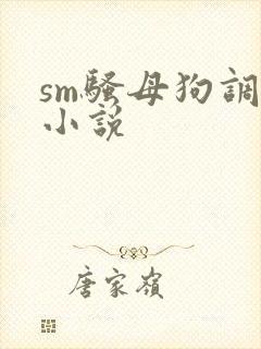 sm骚母狗调教小说