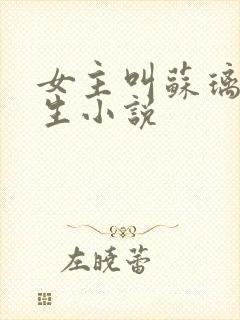 女主叫苏璃的重生小说