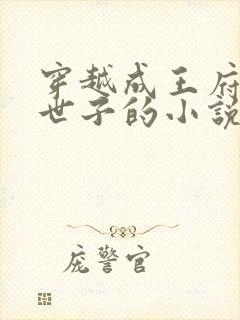 穿越成王府纨绔世子的小说