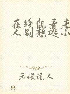 在线观看老婆大人别想逃小说完整版