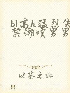 bl高h猛烈失禁潮喷男男