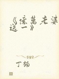 《亿万老婆买一送一》