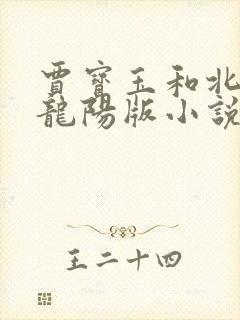 贾宝玉和北静王龙阳版小说封面