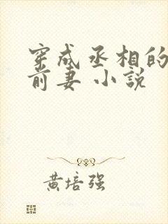 穿成丞相的炮灰前妻 小说封面