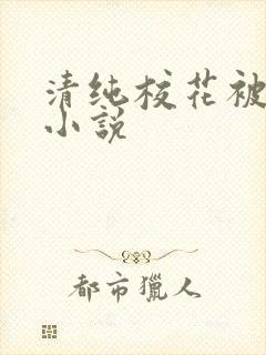 清纯校花被调教小说