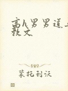 高h男男道具调教文封面