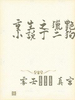 重生之猎艳人生小说丁二狗免费阅读