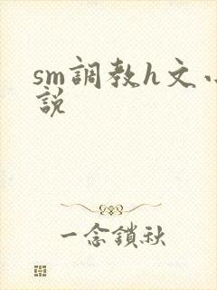 sm调教h文小说