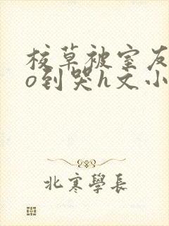 校草被室友cao到哭h文小封面