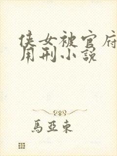 侠女被官府捉住用刑小说