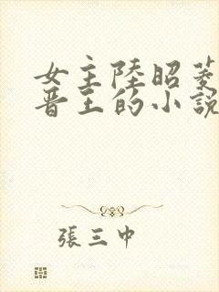 女主陆昭菱男主晋王的小说封面