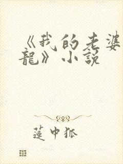 《我的老婆是条龙》小说