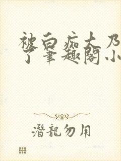 被白痴大乃蛊惑了笔趣阁小说封面