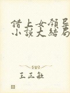 错上女领导官场小说大结局