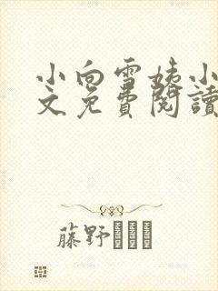 小向雪姨小说全文免费阅读最新章节