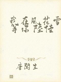 我在风花雪月里等你 陆佳封面