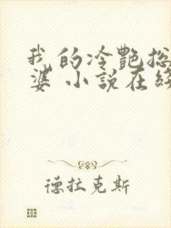 我的冷艳总裁老婆 小说在线阅读封面