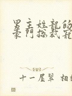 男主姓龙的小说豪门总裁宠文