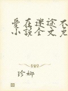 爱在迷途不知返小说全文免费阅读最新章节