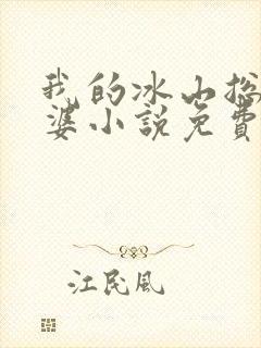 我的冰山总裁老婆小说免费封面