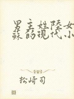 男主姓陆女主姓苏的现代小说