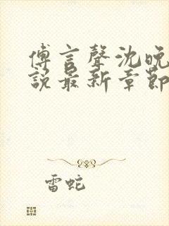 傅言声沈晚柔小说最新章节免费阅读