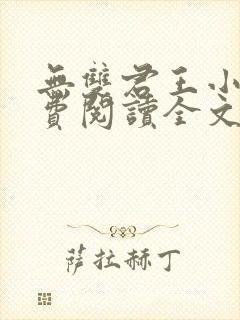 无双君王小说免费阅读全文